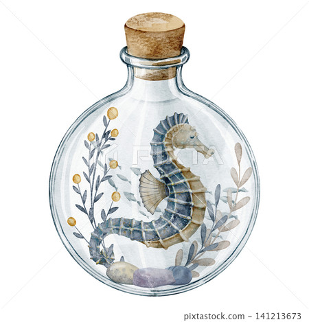 Seahorse watercolor illustration. Marine animal with seaweeds in glass bottle on isolated background. Fantasy ocean composition for nursery poster, sea storybook themes and childish nautical artwork. Seahorse watercolor illustration. Marine animal with seaweeds in glass bottle on isolated background. Fantasy ocean composition for nursery poster, sea storybook themes and childish nautical artwork. 141213673