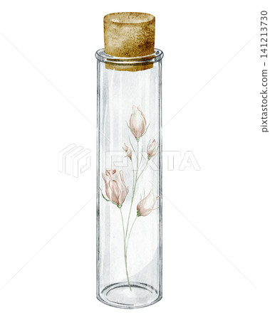 Flower watercolor illustration with glass bottle and botanical branch on isolated background for vintage decor. Floral art of Roses in transparent jar for homeopathy or medicine design. 141213730