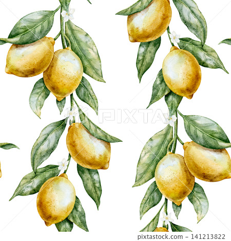 Lemon seamless watercolor Pattern with Citrus branches, leaves and blossoms. Illustration of botanical background with Fruits for textile, packaging, wallpaper, kitchen decor and summer branding. Lemon seamless watercolor Pattern with Citrus branches, leaves and blossoms. Illustration of botanical background with Fruits for textile, packaging, wallpaper, kitchen decor and summer branding. 141213822