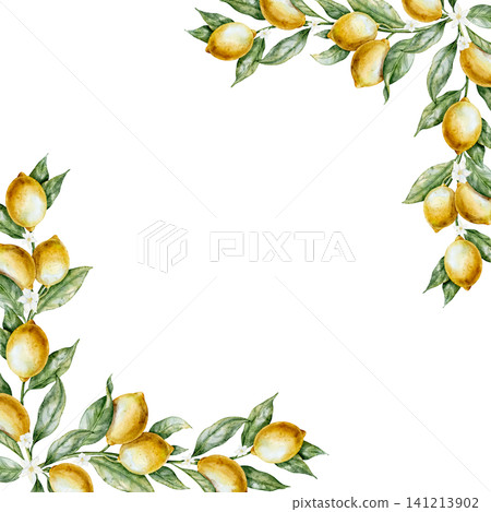 Watercolor Lemon Frame with citrus branches, leaves and blossoms. Illustration of Template for card for summer backgrounds, menu design, invitations. Art of citrus branches for cooking book. 141213902