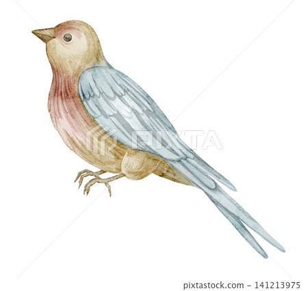 Bird watercolor illustration in soft pastel colors with delicate feathers. Hand painted animal isolated on background for nature and nursery design. Art of songbird for garden design. Drawing of avian Bird watercolor illustration in soft pastel colors with delicate feathers. Hand painted animal isolated on background for nature and nursery design. Art of songbird for garden design. Drawing of avian 141213975