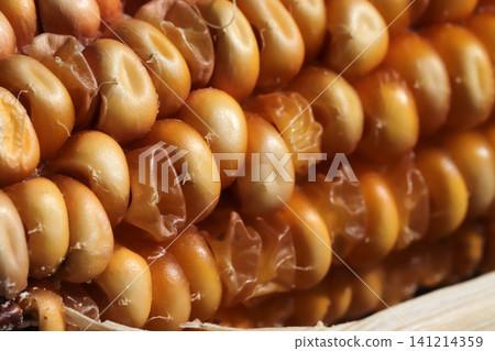 corn on the cob close-up corn on the cob close-up 141214359
