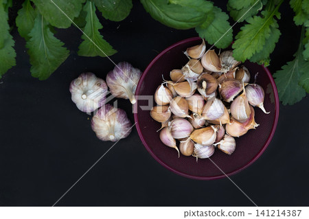 Holding fresh garlic bulbs in a garden setting Holding fresh garlic bulbs in a garden setting 141214387