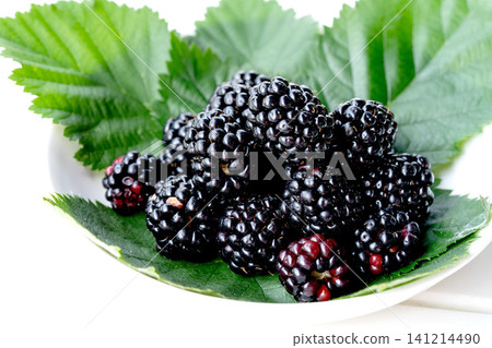 Fresh organic blackberry with leaves 141214490