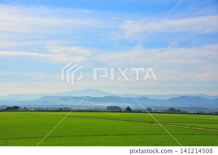 Ishikawa Prefecture: Summer scenery of the Hakusan mountain range and rice paddies. Ishikawa Prefecture: Summer scenery of the Hakusan mountain range and rice paddies. 141214508