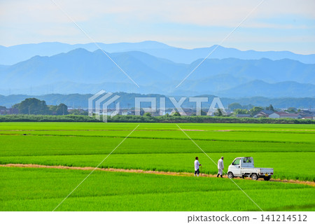 Ishikawa Prefecture: Summer scenery of the Hakusan mountain range and rice paddies. Ishikawa Prefecture: Summer scenery of the Hakusan mountain range and rice paddies. 141214512
