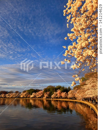 Colorful Autumn Sunset Landscape Colorful Autumn Sunset Landscape 141214629