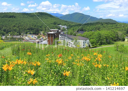 長野縣金合歡山:萱草 長野縣金合歡山:萱草 141214697