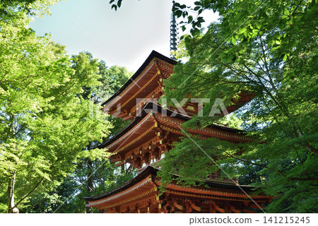 淨琉璃寺:一座綠樹環繞的三層寶塔(京都府木津川市) 淨琉璃寺:一座綠樹環繞的三層寶塔(京都府木津川市) 141215245