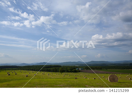 廣闊的牧場上點綴著乾草垛,遠處是連綿的山脈——一幅夏日田園風光。 廣闊的牧場上點綴著乾草垛,遠處是連綿的山脈——一幅夏日田園風光。 141215299
