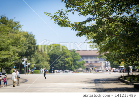 Ueno Onsen Park 141215489