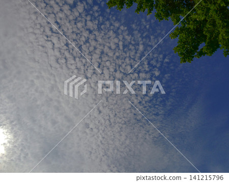 Clouds resembling fish scales (cirrocumulus clouds): Spreading out in fine, fish-scale-like patterns. 141215796