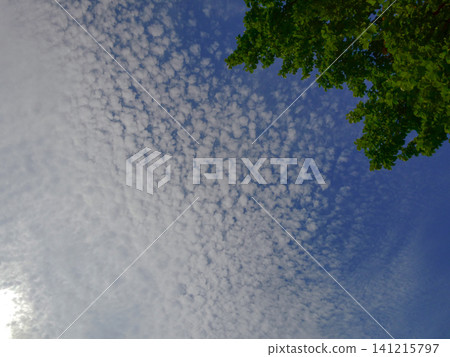 Clouds resembling fish scales (cirrocumulus clouds): Spreading out in fine, fish-scale-like patterns. 141215797