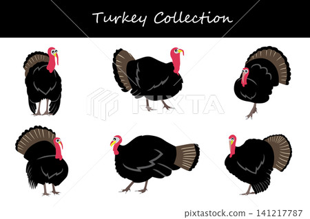 Turkey collection. Turkey in different poses Turkey collection. Turkey in different poses 141217787