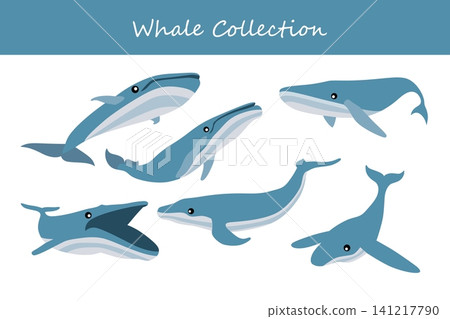 Whale collection. Whale in different poses 141217790