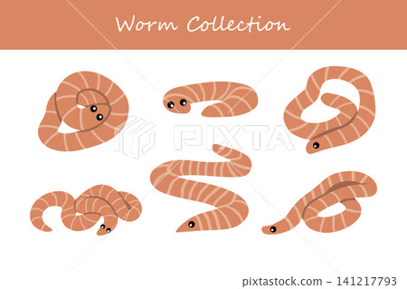 Worm collection. Worm in different poses Worm collection. Worm in different poses 141217793