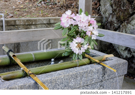 伊香保神社的水池,從竹管中流出,還有春天的杜鵑花。 伊香保神社的水池,從竹管中流出,還有春天的杜鵑花。 141217891