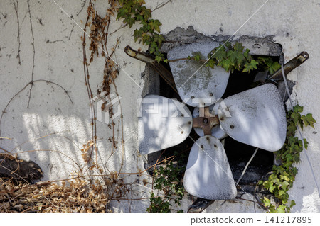 The walls of an old building covered in ivy and a rusty industrial ventilation fan. The walls of an old building covered in ivy and a rusty industrial ventilation fan. 141217895