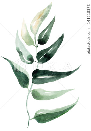 Hand drawn watercolor twig with green leaves, botanical greenery isolated illustration, single element Hand drawn watercolor twig with green leaves, botanical greenery isolated illustration, single element 141218378