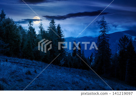 mountain landscape ukraine with spruce forest at night. full moon over rural valley of podobovets in the distance. dark sky. mysterious background for carpathian countryside adventures mountain landscape ukraine with spruce forest at night. full moon over rural valley of podobovets in the distance. dark sky. mysterious background for carpathian countryside adventures 141219097
