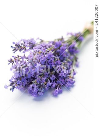 Fresh lavender flowers creating natural aromatherapy bunch on white Fresh lavender flowers creating natural aromatherapy bunch on white 141220007