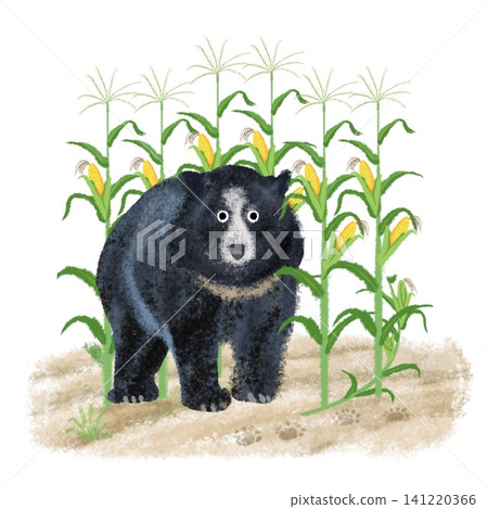 一幅插圖描繪了黑熊在玉米田裡破壞玉米的情景。 一幅插圖描繪了黑熊在玉米田裡破壞玉米的情景。 141220366