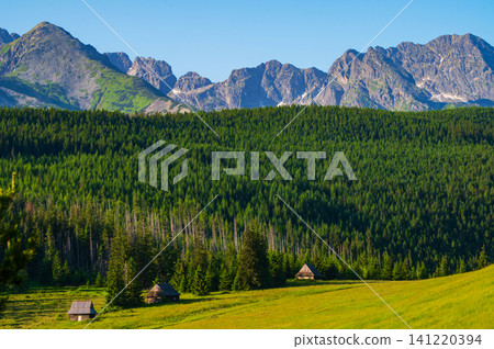 Peaceful nature trail, hiking and summer wilderness background. Poland, Zakopane Peaceful nature trail, hiking and summer wilderness background. Poland, Zakopane 141220394