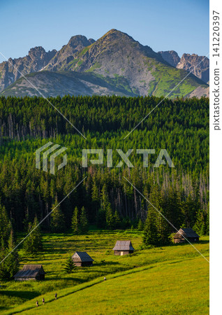 Peaceful nature trail, hiking and summer wilderness background. Poland, Zakopane Peaceful nature trail, hiking and summer wilderness background. Poland, Zakopane 141220397