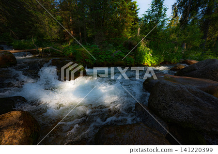 nature scene with mountain river. Zakopane nature scene with mountain river. Zakopane 141220399