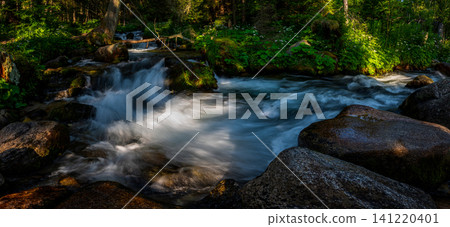nature scene with mountain river. Zakopane nature scene with mountain river. Zakopane 141220401