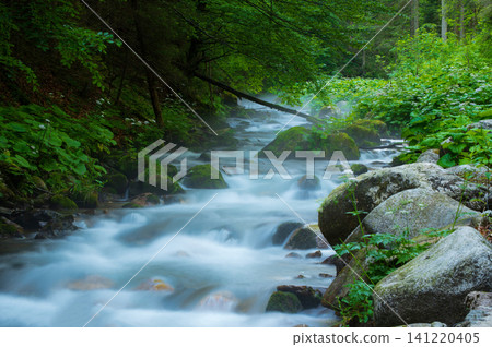 nature scene with mountain river. Zakopane nature scene with mountain river. Zakopane 141220405
