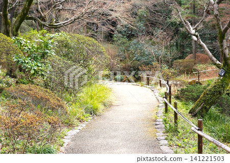 Japanese garden Japanese garden 141221503