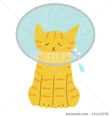 A sad-looking tabby cat wearing an Elizabethan collar. A sad-looking tabby cat wearing an Elizabethan collar. 141221576