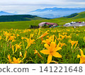 A spectacular summer scene of daylilies in the Utsukushigahara Plateau and Mount Fuji floating above a sea of clouds: Venus Line, Nagano Prefecture 141221648
