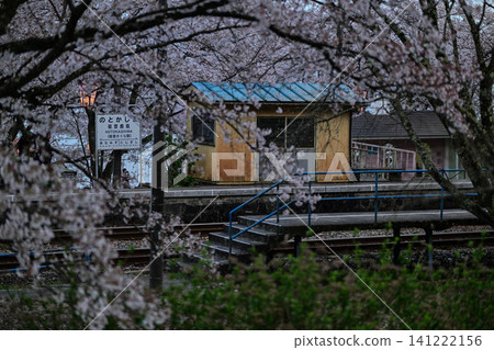 Noto Railway Sakura Station in full bloom Noto Railway Sakura Station in full bloom 141222156