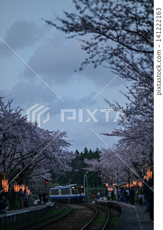 盛開的能登鐵道櫻花站 盛開的能登鐵道櫻花站 141222163