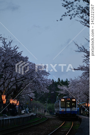 盛開的能登鐵道櫻花站 141222167