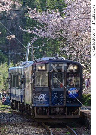 Noto Railway Sakura Station in full bloom Noto Railway Sakura Station in full bloom 141222175