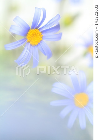 pretty flowers pretty flowers 141222632