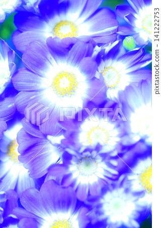 漂亮的花 漂亮的花 141222753
