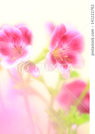 pretty flowers pretty flowers 141222762