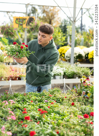 Flower market - guy chooses and buys flowers red verbena Flower market - guy chooses and buys flowers red verbena 141223384