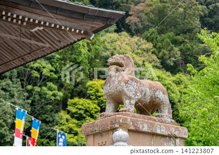 Ichibata Yakushi Temple, guardian lion-dogs in front of the main hall, Izumo City, Shimane Prefecture 141223807