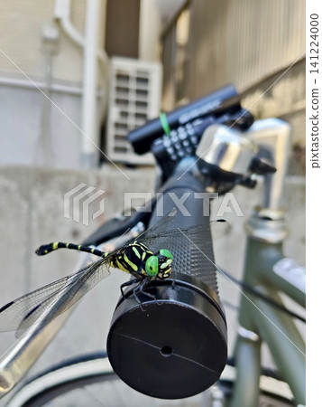 A bicycle and a dragonfly set up outdoors A bicycle and a dragonfly set up outdoors 141224000