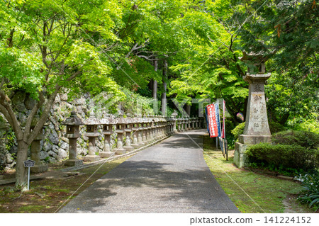 市畑藥師寺:寺廟入口處設有108座石燈籠,位於島根縣出雲市 市畑藥師寺:寺廟入口處設有108座石燈籠,位於島根縣出雲市 141224152