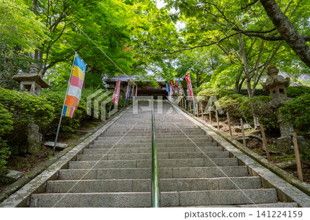 島根縣出雲市市市畑藥師寺,通往仁王門的石階 島根縣出雲市市市畑藥師寺,通往仁王門的石階 141224159
