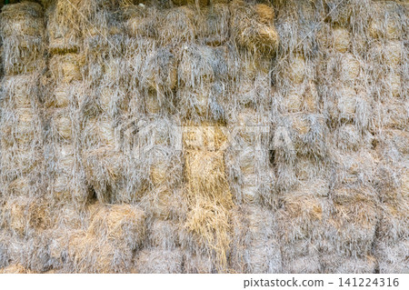 Stacked rectangular hay bales dry golden straw fibers forming natural agricultural texture background ideal for farming harvest rural storage livestock themes 141224316