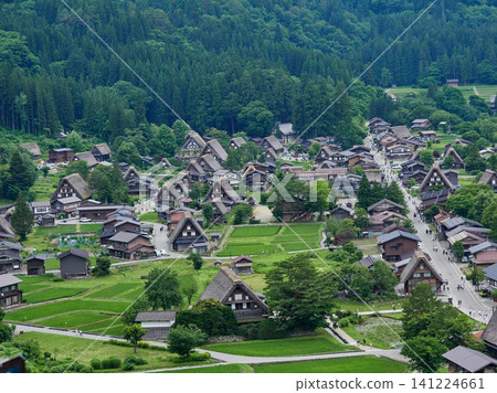A panoramic view of Shirakawa-go, a World Heritage site and popular summer tourist destination, and the sight of tourists from the observation deck of the Gassho-zukuri village. A panoramic view of Shirakawa-go, a World Heritage site and popular summer tourist destination, and the sight of tourists from the observation deck of the Gassho-zukuri village. 141224661