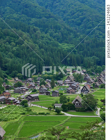 從合掌造村的觀景台上可以俯瞰世界遺產和熱門夏季旅遊目的地白川鄉的全景,以及遊客的景象。 從合掌造村的觀景台上可以俯瞰世界遺產和熱門夏季旅遊目的地白川鄉的全景,以及遊客的景象。 141224663