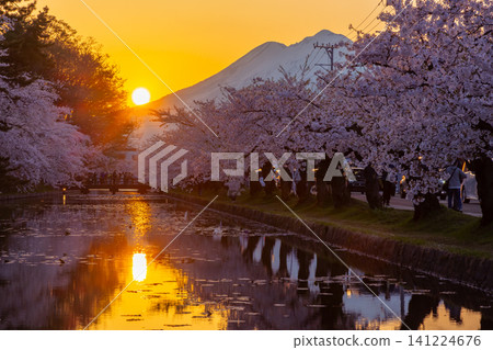 Hirosaki Park, Shimoshirogane-cho, Hirosaki City, Aomori Prefecture: A sunset view of the fully bloomed Somei Yoshino cherry trees along the outer moat of Hirosaki Castle and the snow-capped Mt. Iwaki. Hirosaki Park, Shimoshirogane-cho, Hirosaki City, Aomori Prefecture: A sunset view of the fully bloomed Somei Yoshino cherry trees along the outer moat of Hirosaki Castle and the snow-capped Mt. Iwaki. 141224676